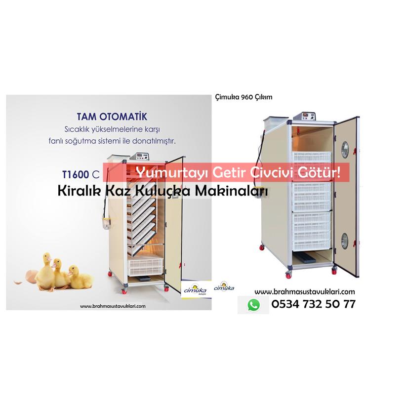 Kiralık Kaz Kuluçka Makinası