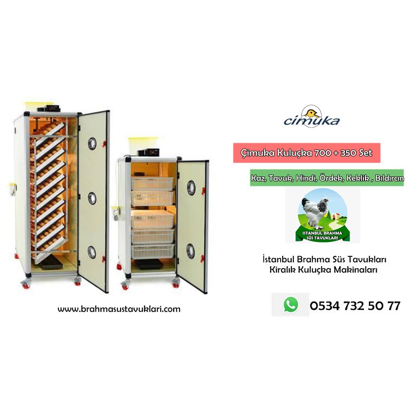 Kiralık Tavuk Kuluçka Makinası