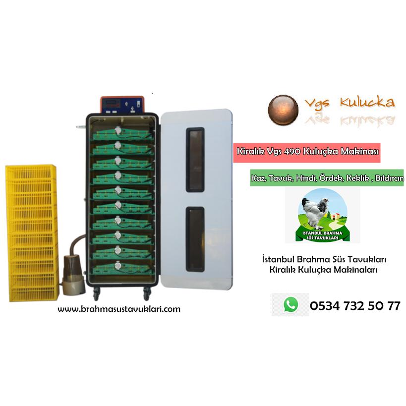 Kiralık Vgs Kuluçka Makinası